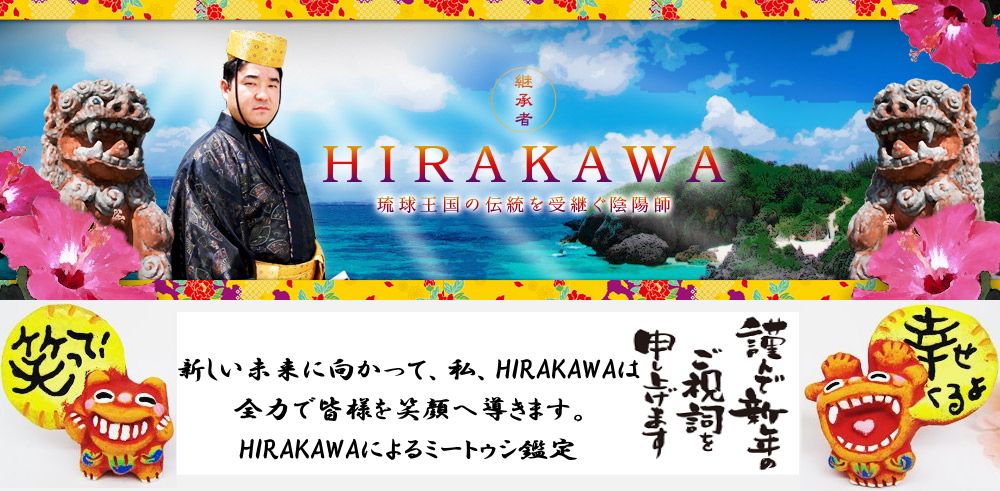 hirakawa_hed2014